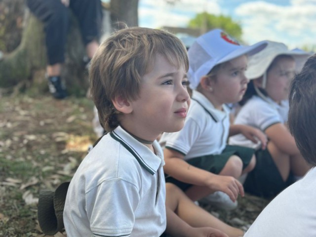 67d58a91-7d59-4b61-a067-30f4887193dc_Mediana