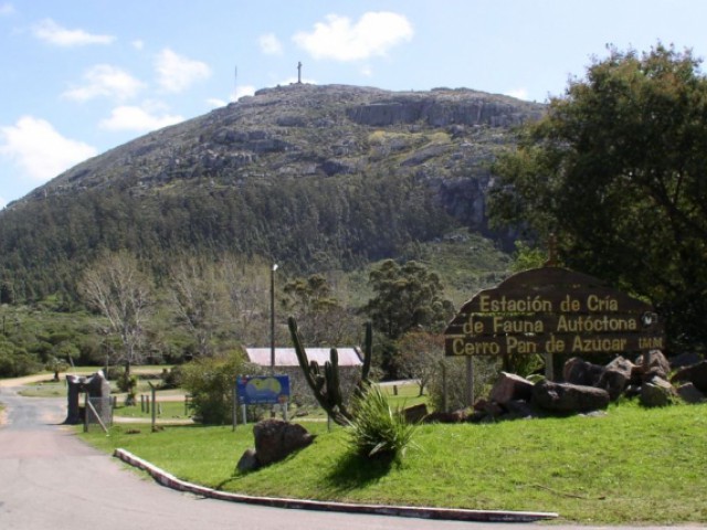 Form 2 visited "Reserva Pan de Azúcar"