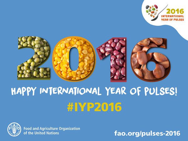 International Year of Pulses 2016
