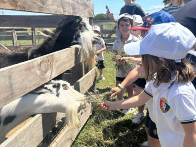 8d028363-8ad7-4f97-9898-06864e3887da_Mediana