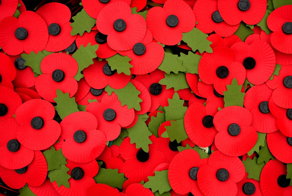 11th November - Remembrance Day - Poppy Appeal