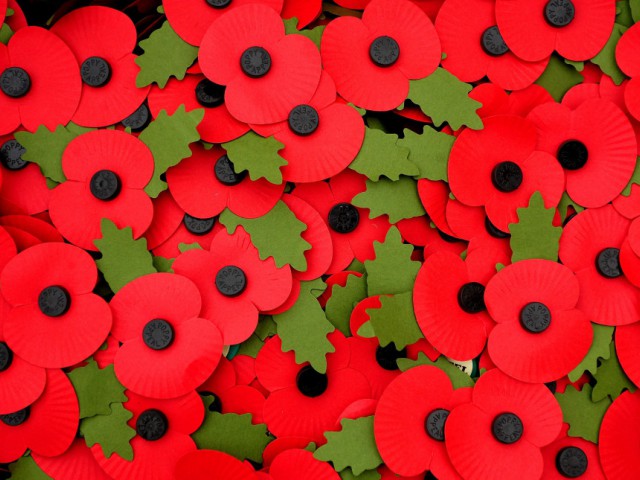 11th November - Remembrance Day - Poppy Appeal