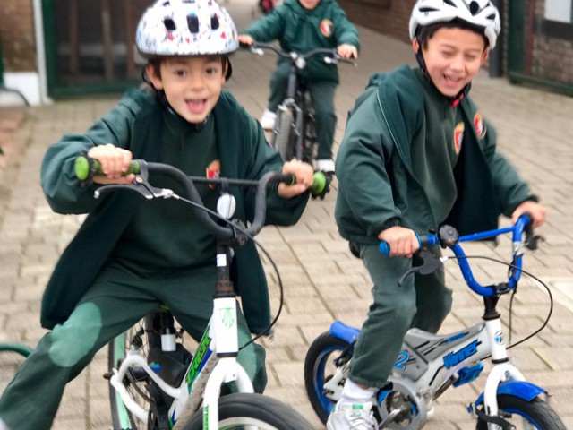 p1dh48pvi3as11k391ctl3v1nrvg8