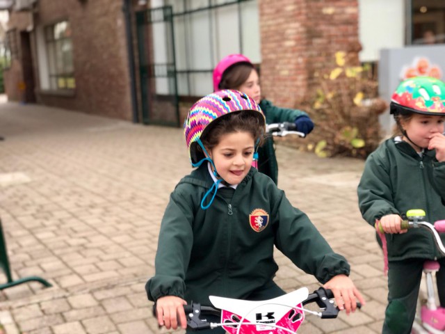 p1dh48pvi41h3n1enl5ar1j166cbga