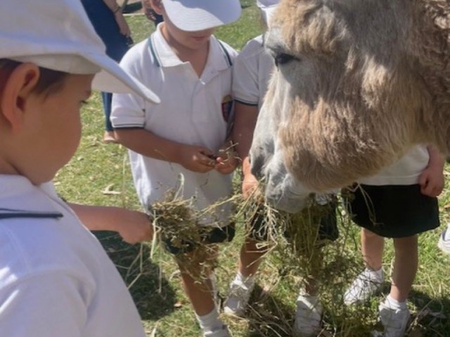 PKD - Trip to the farm