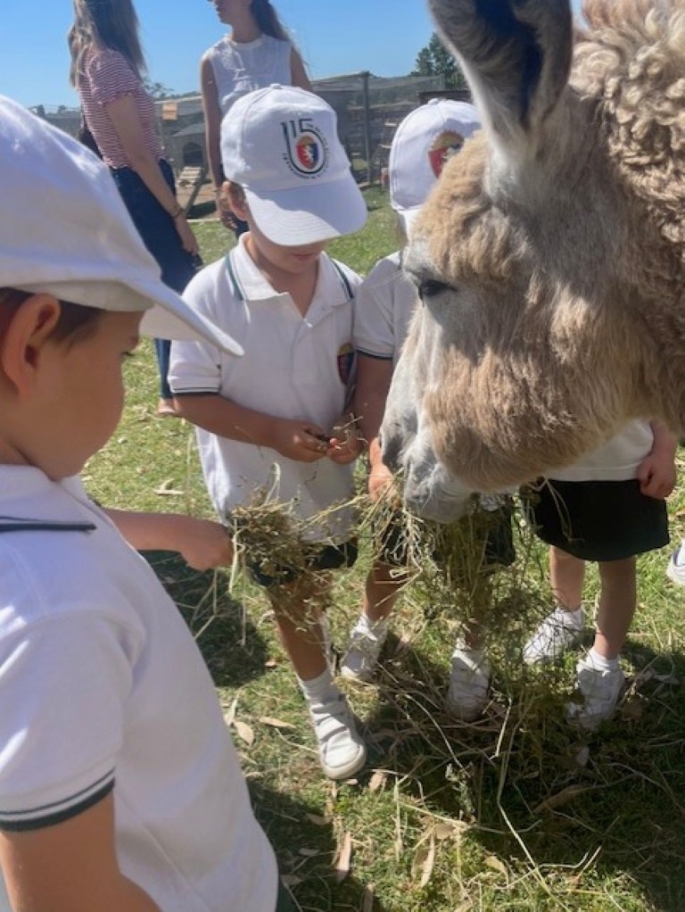 PKD - Trip to the farm