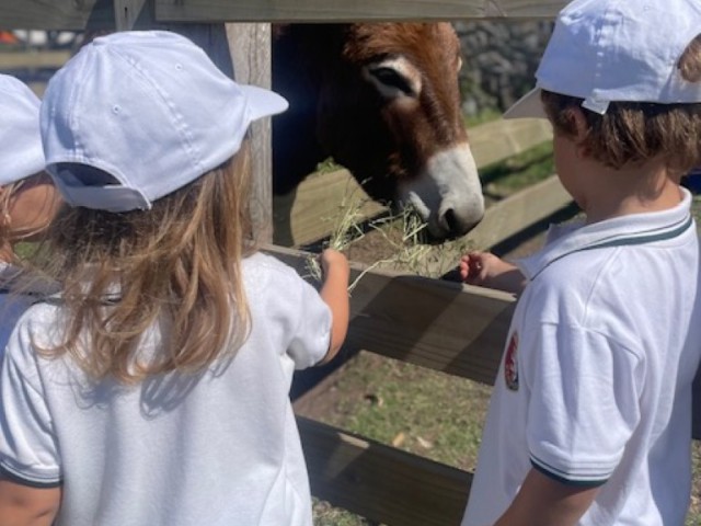 thumbnail_IMG_3227_Mediana