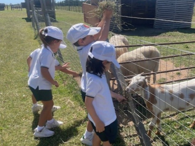 thumbnail_IMG_3236_Mediana