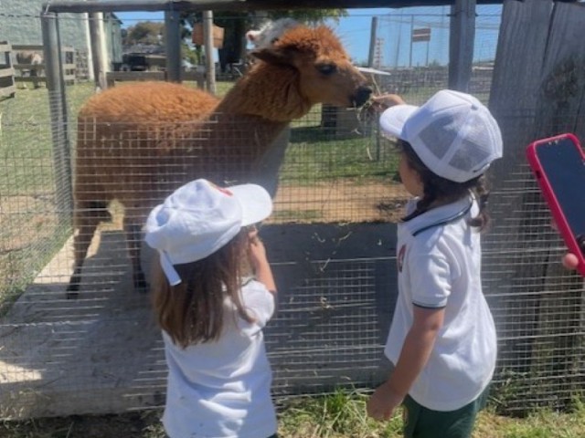 thumbnail_IMG_3239_Mediana