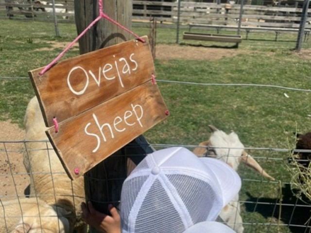 thumbnail_f571d62f-6b91-4c8f-98a0-d635a2bb9088_Mediana